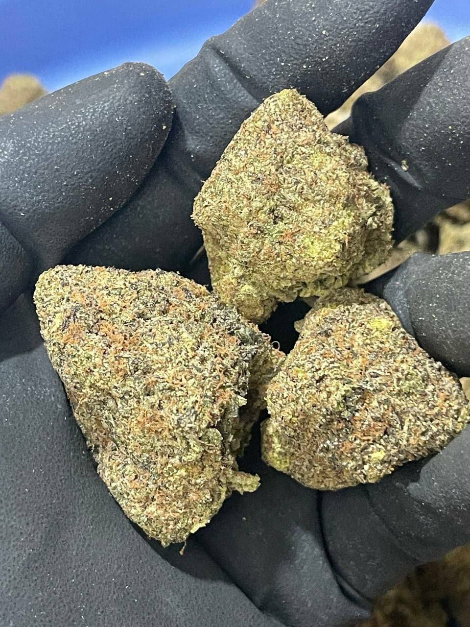 Bán MDMA Cao Cấp: Thanh Toán Qua Monero